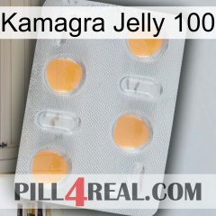 Kamagra Jelly 100 24